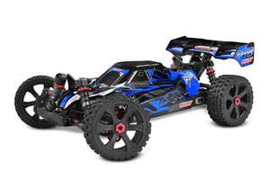 Asuga XLR 6S RTR Racing Buggy - Blue, Large Scale